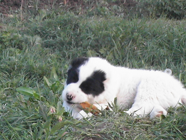 poze 04.05.2009 133
