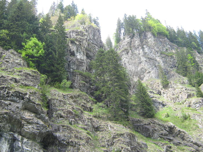 LACUL GALBENU 17.05.2009 195