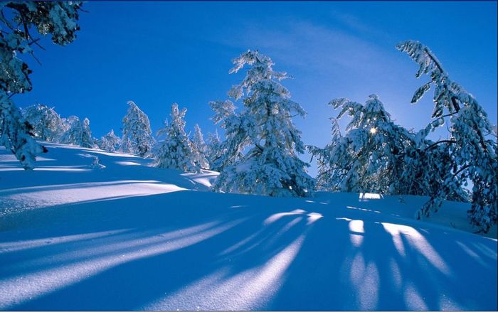 m18 - peisaje de iarna