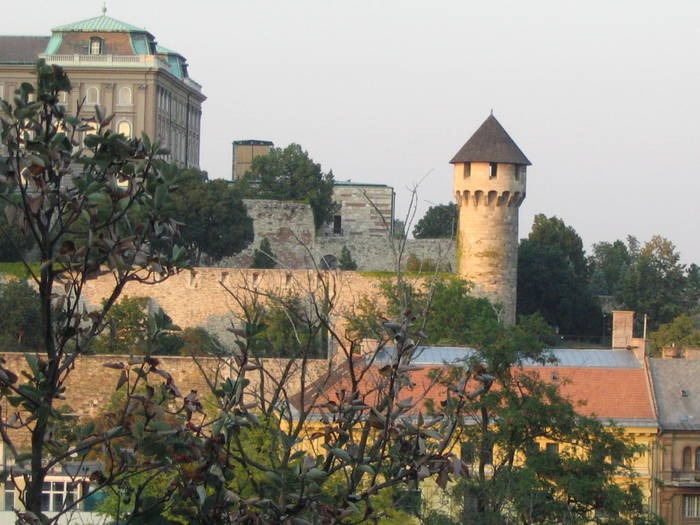 2008 - Budapesta