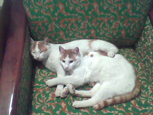 Imag037
