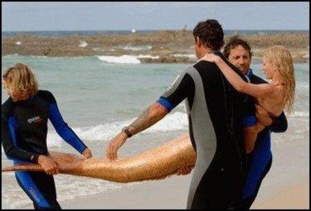 f93db5f12130742d6705f703606e6d84,14,19,0[1]