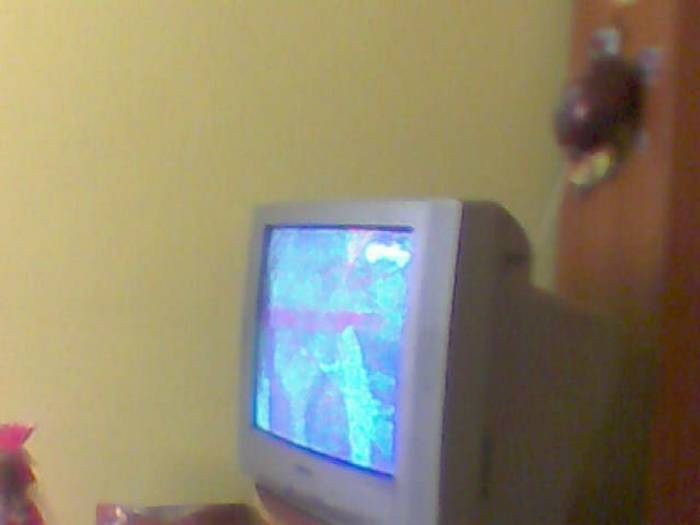 snapshot-61