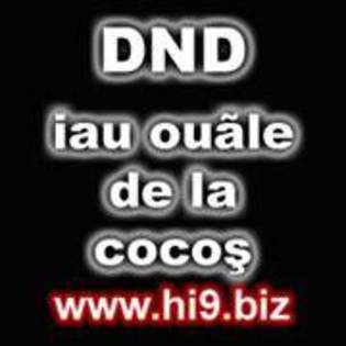 dnd iau ouale de la cocos
