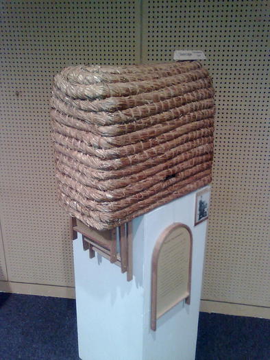 Imagine1080 - ApiMondia