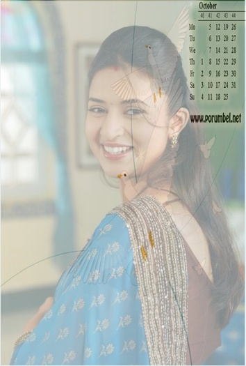  - ZzZzZ Calendare k Divyanka Tripathi ZzZzZ