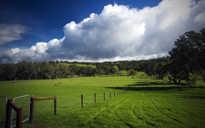 1933_thegreenhillsofhome_2560x1600