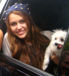 PQBCPGMSJPUZWMLBSXP - P0z3 p3rs0nal3 cu Miley