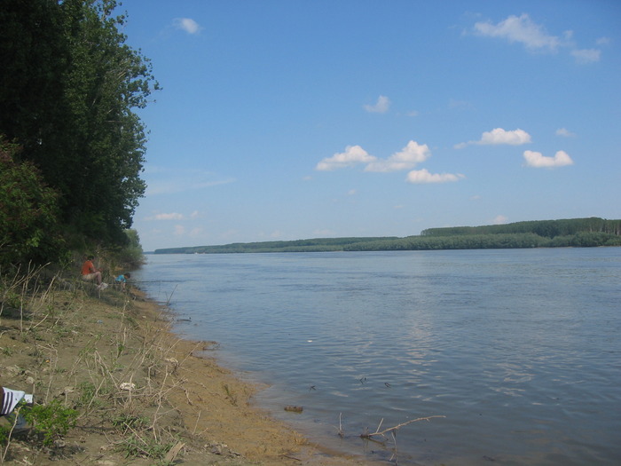 BORCEA