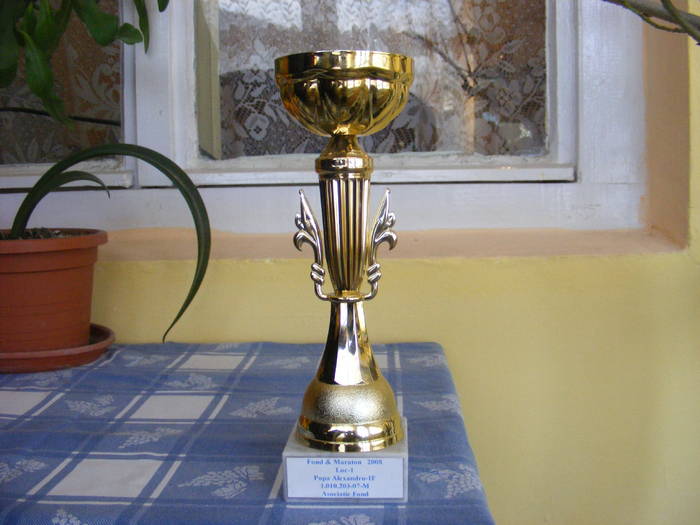 CUPA FOND MARATON TINERET2008 - TROFEE