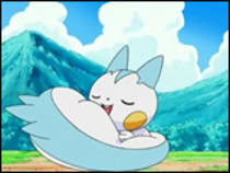 pachirisu3