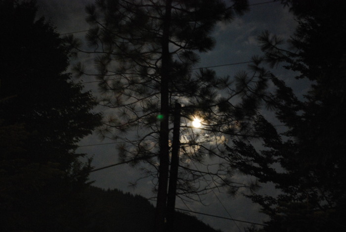 Mm 037 - Maramuresul meu