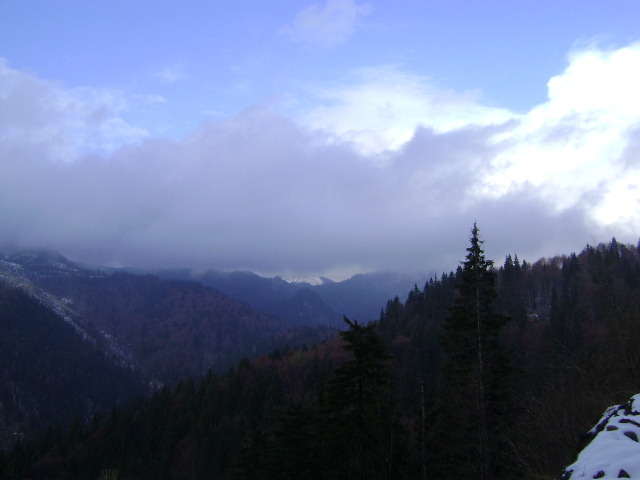 DSC07776 - UN DRUM LA CABANA BOLBOCI