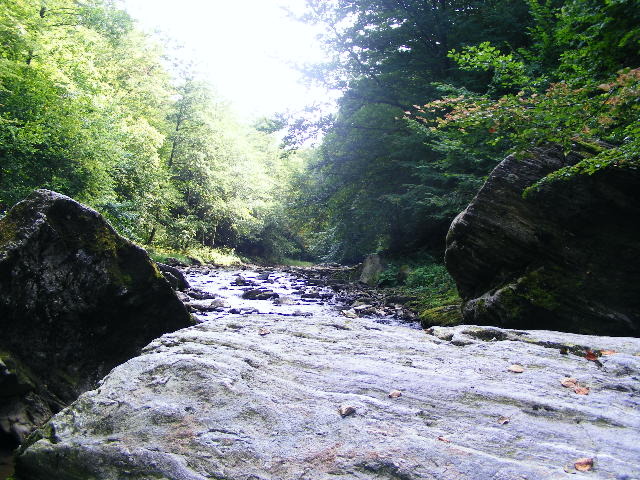 DSCF5076