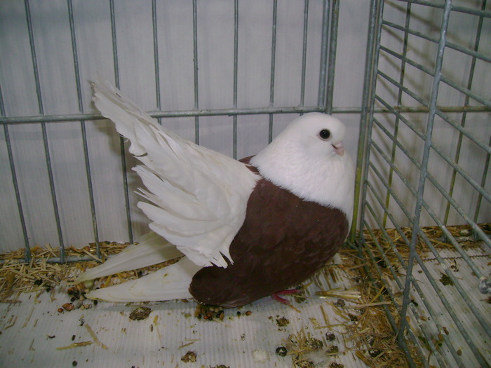 leipzig dec 2009 054