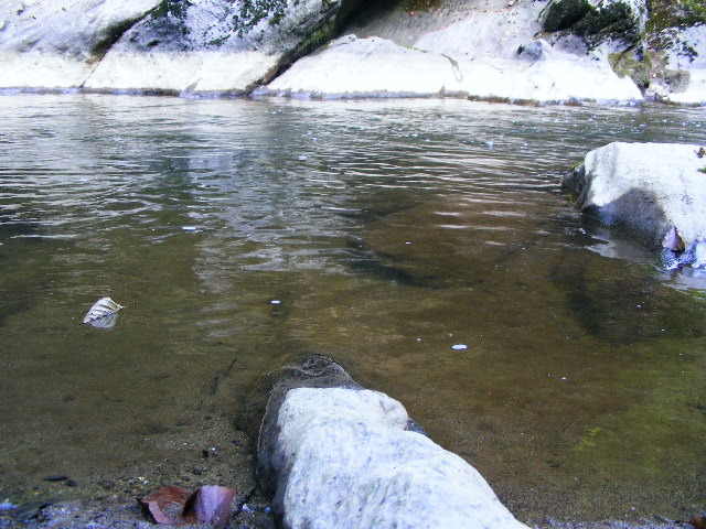 DSCF5152