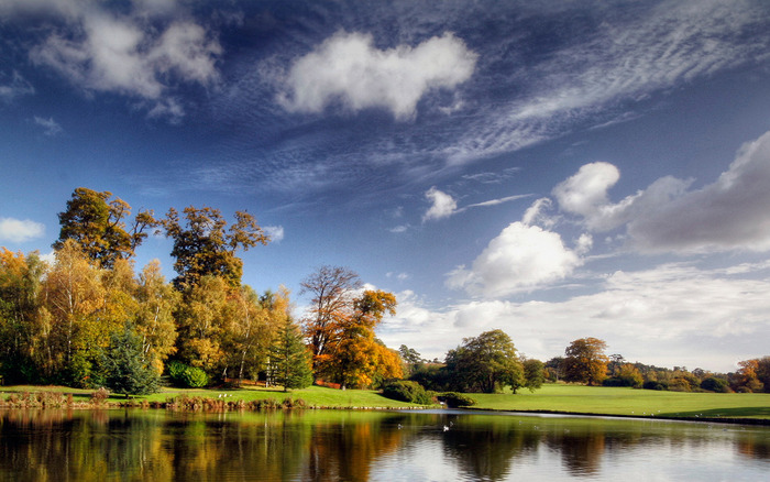 nature_Goldfing_the_day_away
