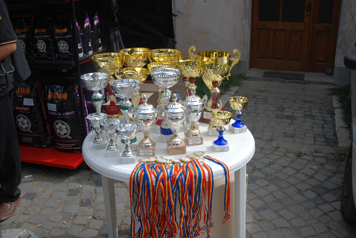DSC_0176 - Concurs international de frumustete canina 2009 TgMures