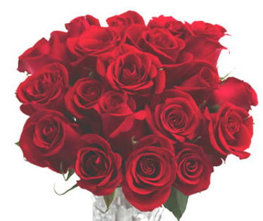 Buchete-monocolore-19-trandafiri-rosii-poza-t-P-n-19%20trandafiri%20rosii - poze trandafiri