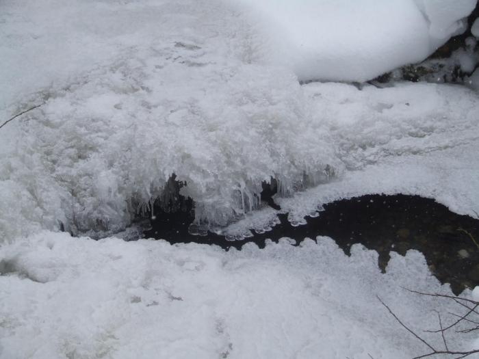 DSCF4602 - poiana zinelor