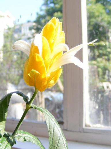 DSCF1710