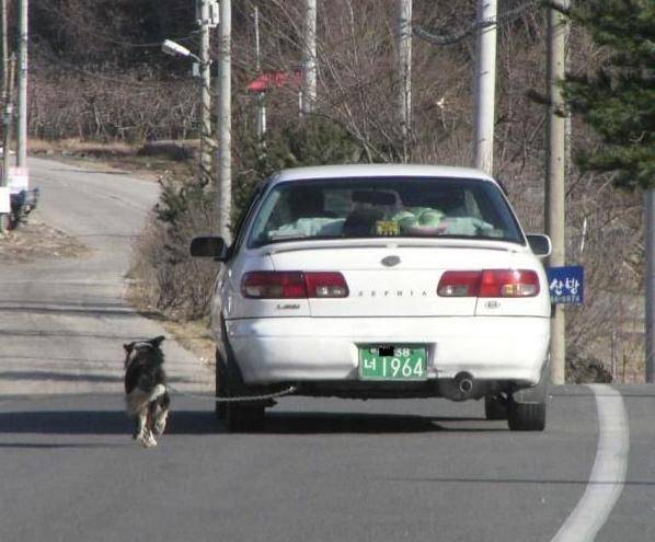 (84) - Funny Pictures