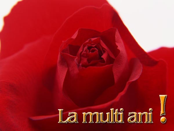 felicitare_8449