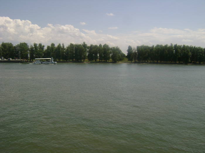 excursie delta dunarii 5062009 057 - EXCURSIE  in DELTA