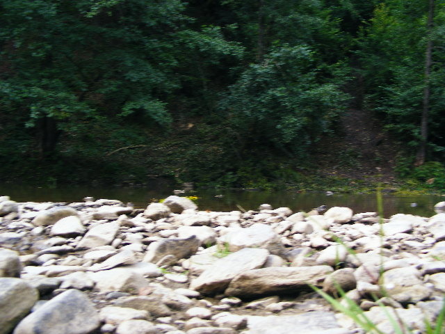 DSCF5019