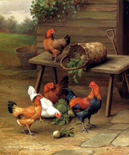 Hunt_Edgar_Poultry_In_A_Barnyard - ANIMALE