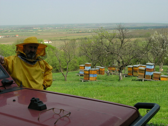 P4092002 - Majevic profesional apicultor