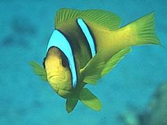 080 - poze muuuuuuuuuuuuuulte