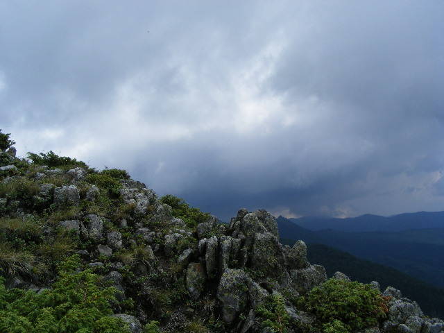DSCF3075