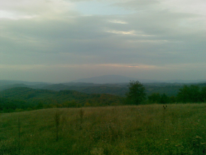 29092009(002) - vanatoare padure
