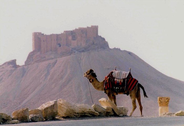 Citadel in Palmyra - Syria - Islamic Architecture Around the World