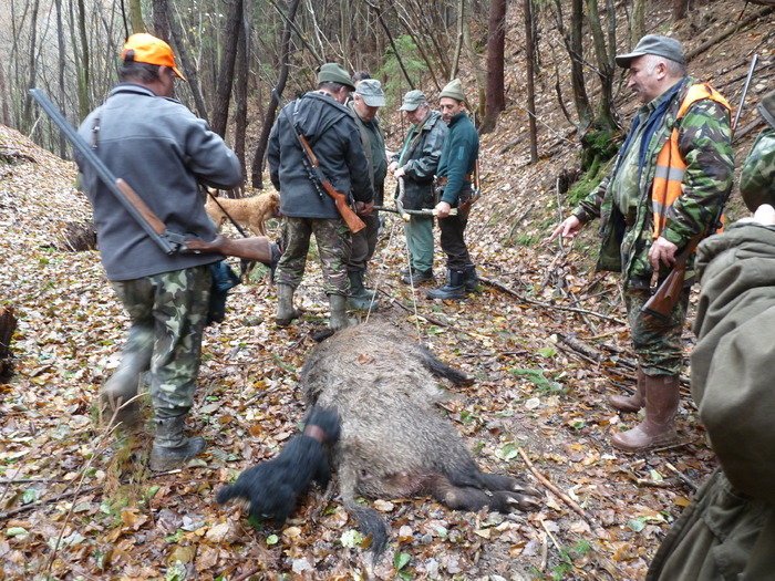 P1210705 - 2009-2010 Stolna Cluj