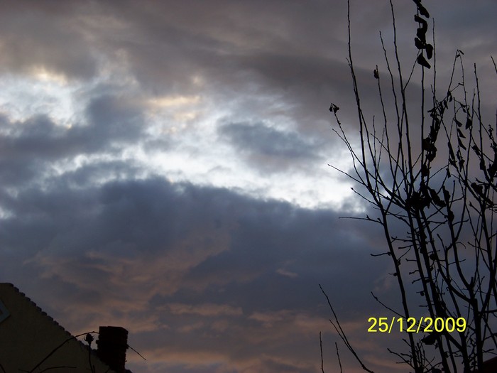 100_7871 - Sfarsit de decembrie 2009