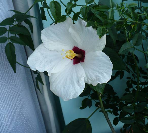 P1140041