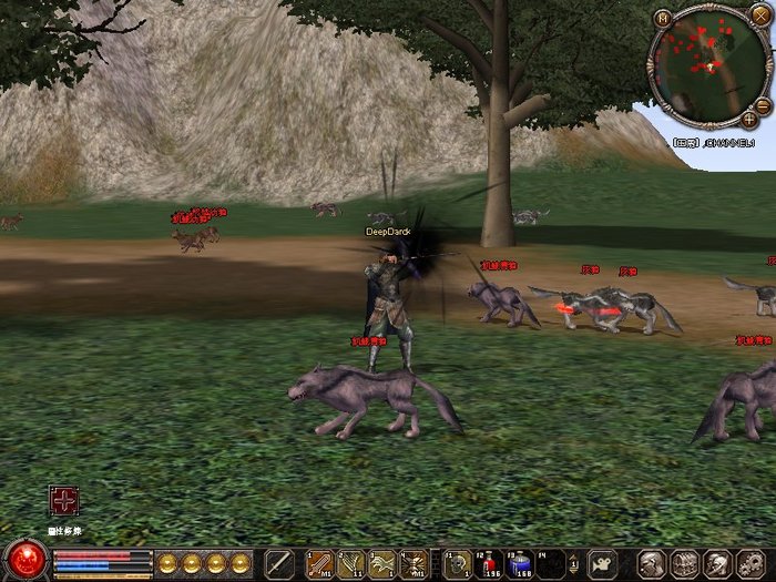 1217_105539 - metin 35 pserver poze noi