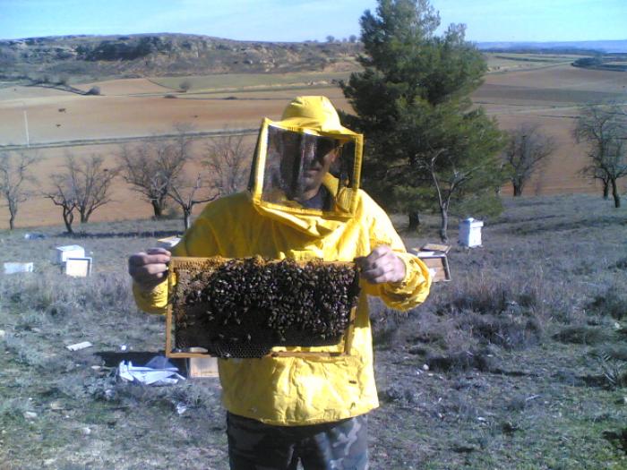 20012007(006) - apicultura