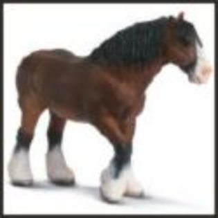 cal din schleich - Schleich