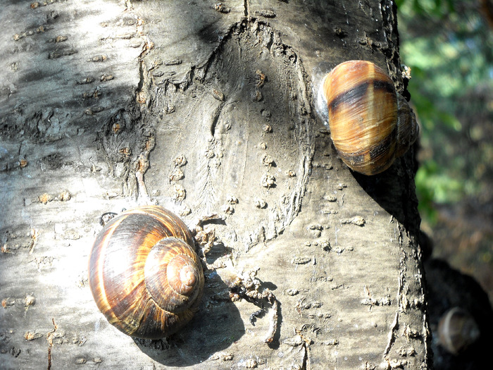 Picture 469; 2.73mb jpeg 1/7/2009 8:34am
