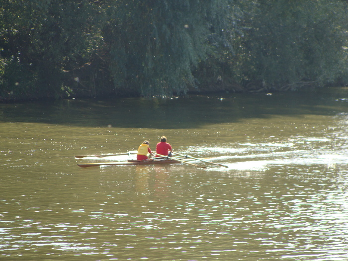 Concursul Cupa Mures 2009 - Cupa Mures 2009 Arad