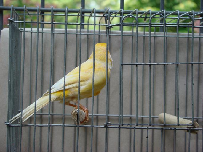 DSC00647