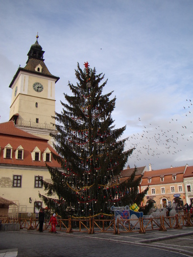 082 - vacanta dec 2009