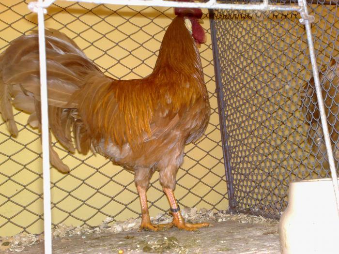 2009-02-15_14-38-40_150220091157