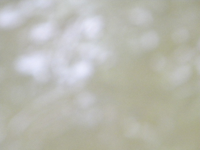 DSCN0481