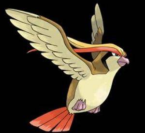 344388-pidgeot_large[1] - pockemon