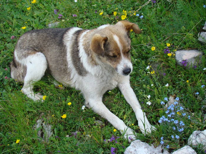 DSC03947 - Concediu 2009