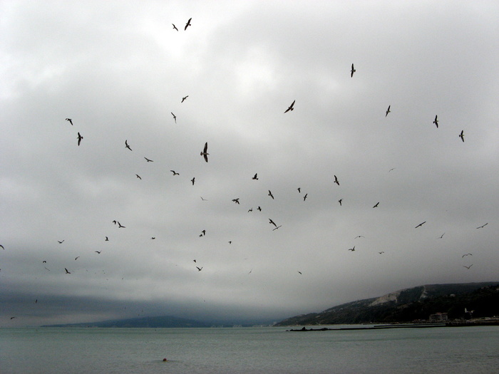 IMG_1059 - balchik 2009